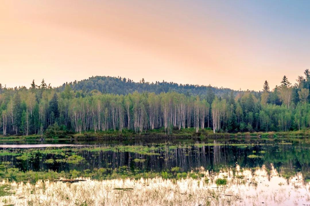 这才是夏天凉爽的地方,七里坪负氧离子全国第一避暑天堂