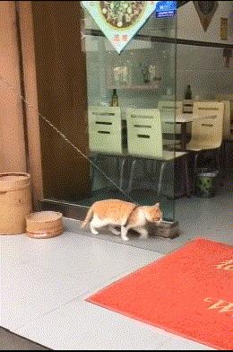 “你太低估了我的脚气，不知道还有没有救？”年轻总要付出代价