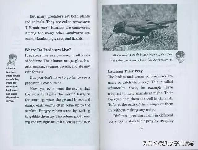 神奇树屋基础和进阶故事一样吗,神奇树屋小百科