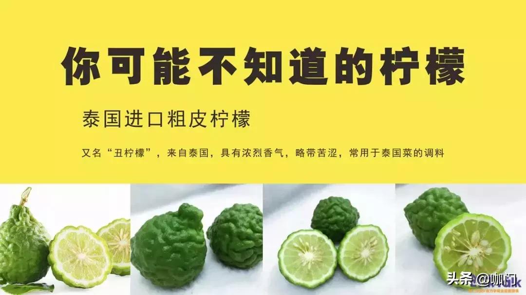 比奶茶好喝的柠檬茶 (疯狂的柠檬茶比奶茶易成瘾)