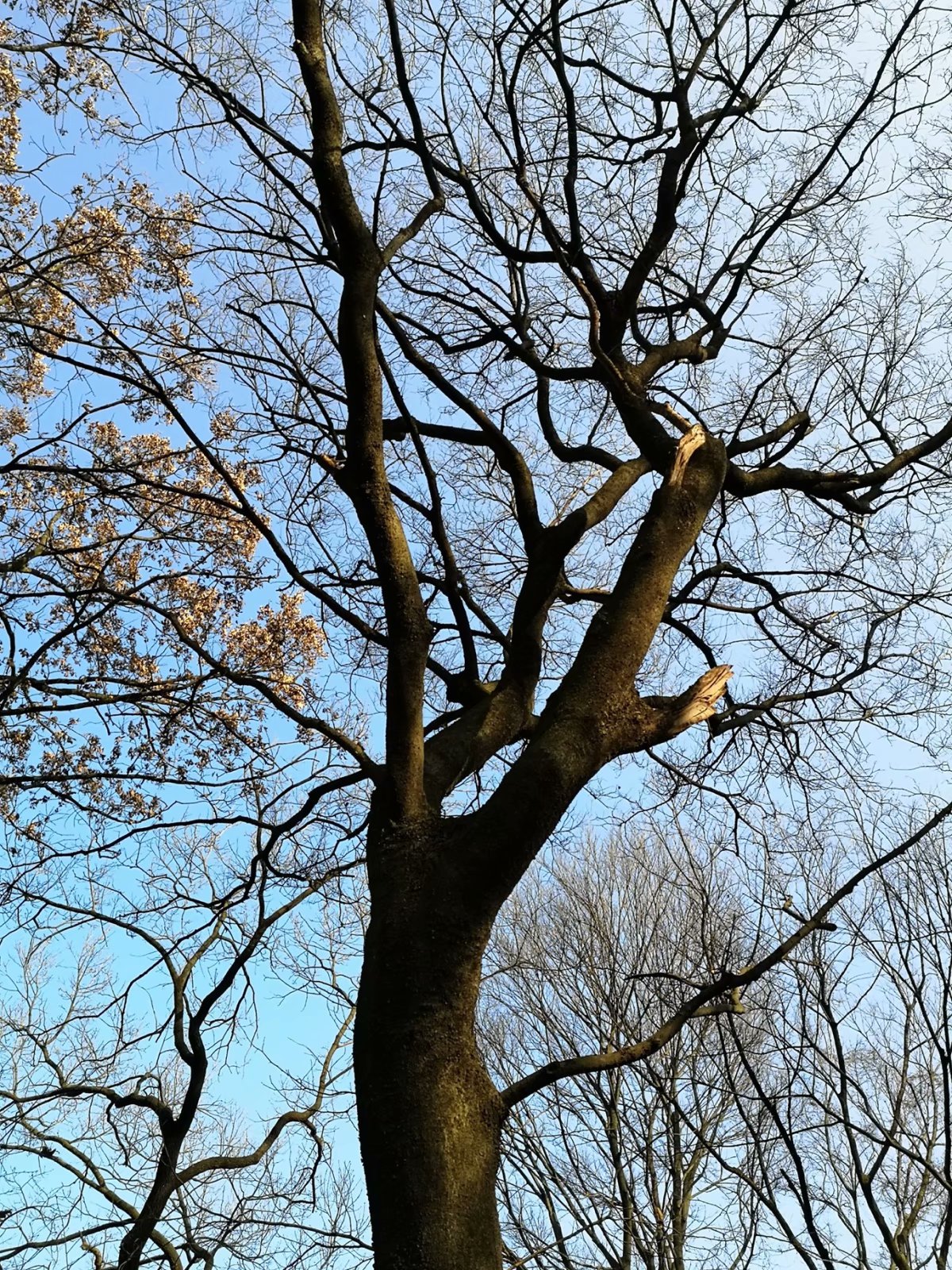 摩托周边旮旯游——探访明光法华禅庵塔