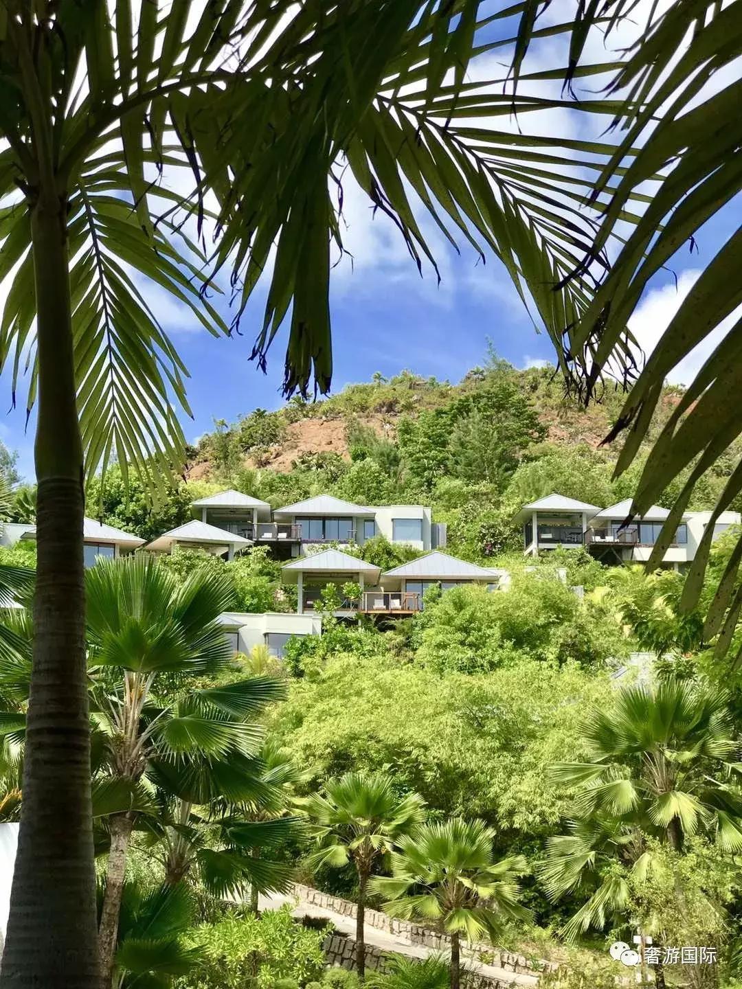 大溪地和塞舌尔岛哪个漂亮,和大溪地齐名的海岛