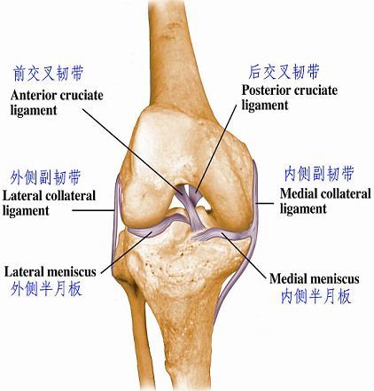 acl受伤视频,acl受伤视频集锦