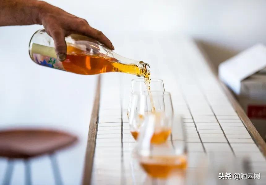 葡萄酒有渣是好还是坏,葡萄酒里有籽和梗吗