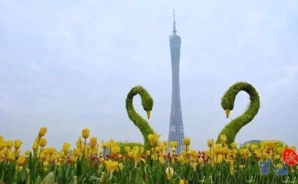 珠江三角洲附近游玩的景点推荐,三角洲冷门景点推荐