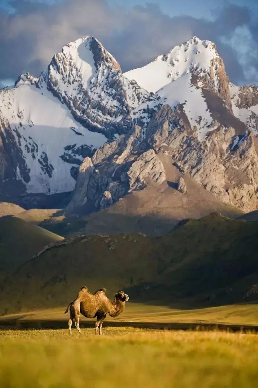 中国至今没被认全的20个邻居,个个身怀宝藏,你知道几个?