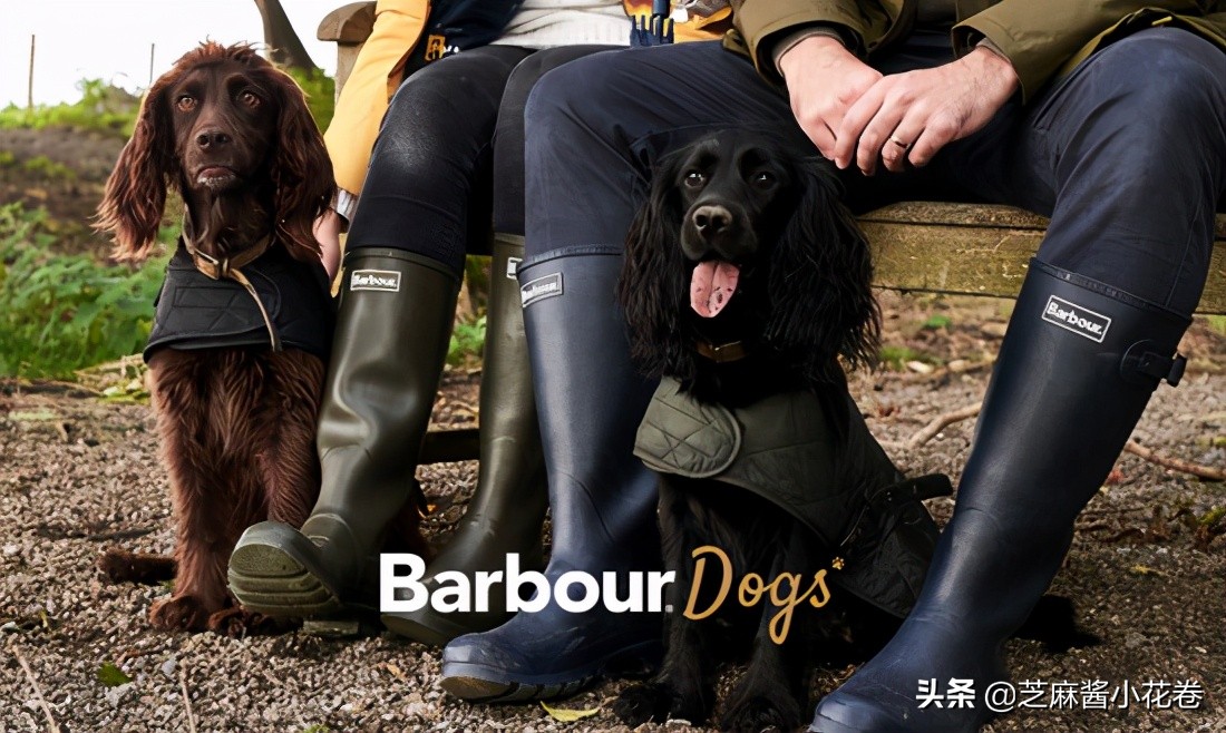 凡尔赛文学其实无处不在,凡尔赛文化盛行