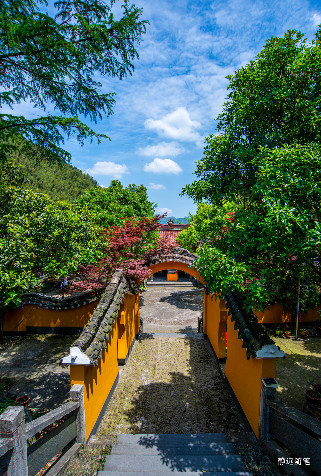 浙江富阳上官球拍有限公司,富阳上官乒乓球拍厂