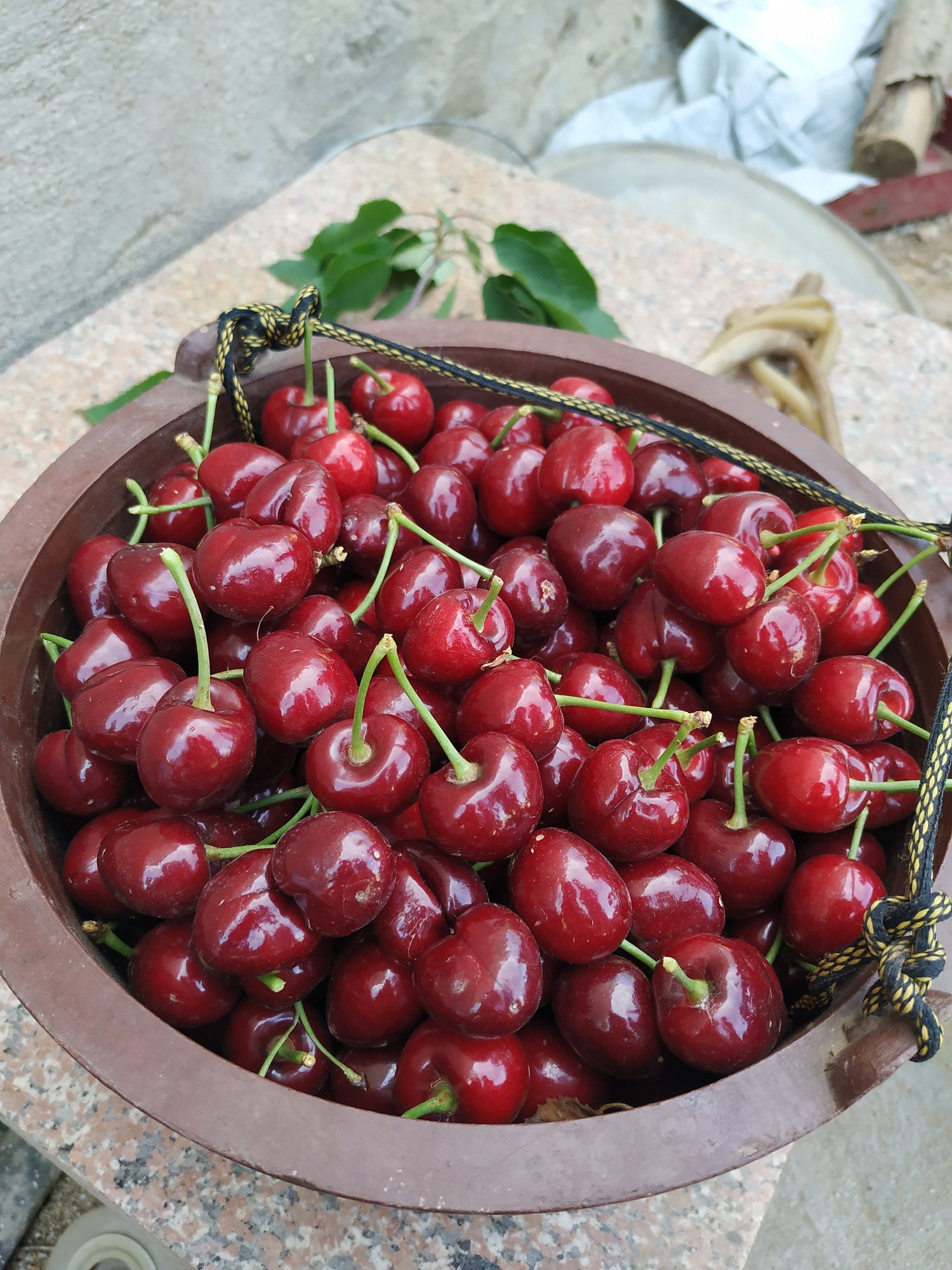 高温对樱桃影响,高温对苹果花的影响