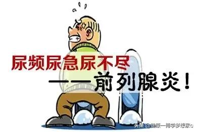 尿频尿痛前列腺炎偏方,尿频尿急前列腺炎偏方