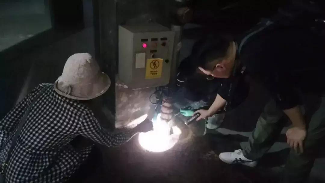 温州蚊子怎么这么多,蚊子警报