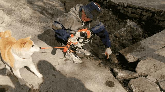 记我的一次旅行600字记叙文,记一次游玩经历600字