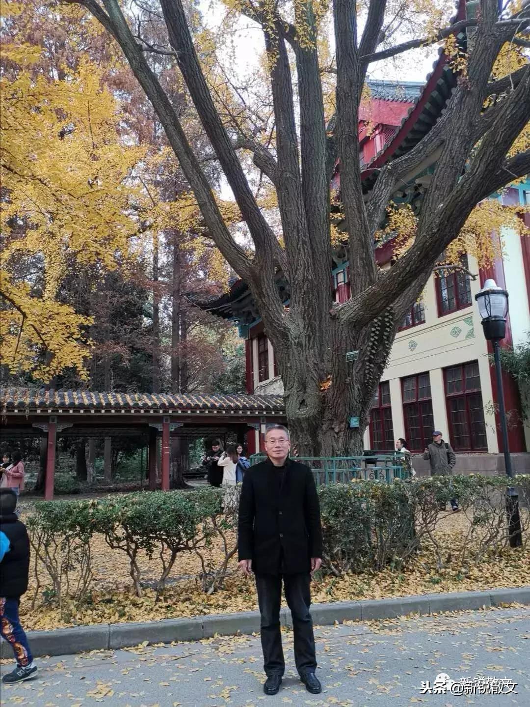 午后的随园，游人如织，个个谨肃认真，敛声屏气