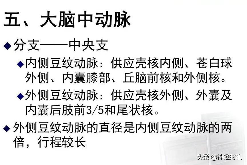 脑动脉解剖学讲解,脑膜中动脉解剖讲解