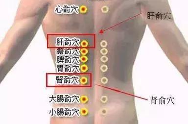 我国脱发人群30岁以下占比近7成,我国超25亿人有脱发困扰