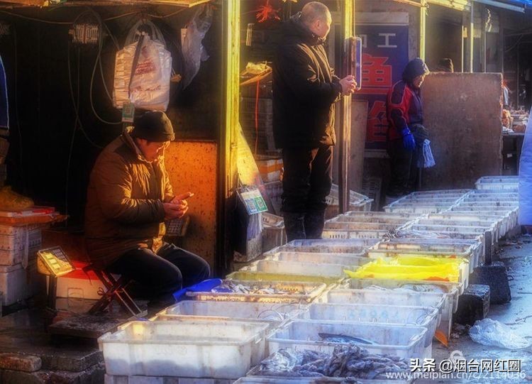 烟台莱阳海鲜早市,烟台老红利市场早市