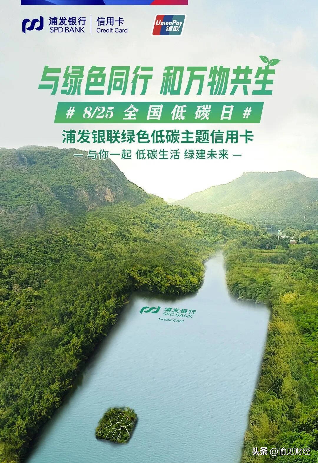 我们如何参与祖国的建设,我们应该如何实现双碳目标