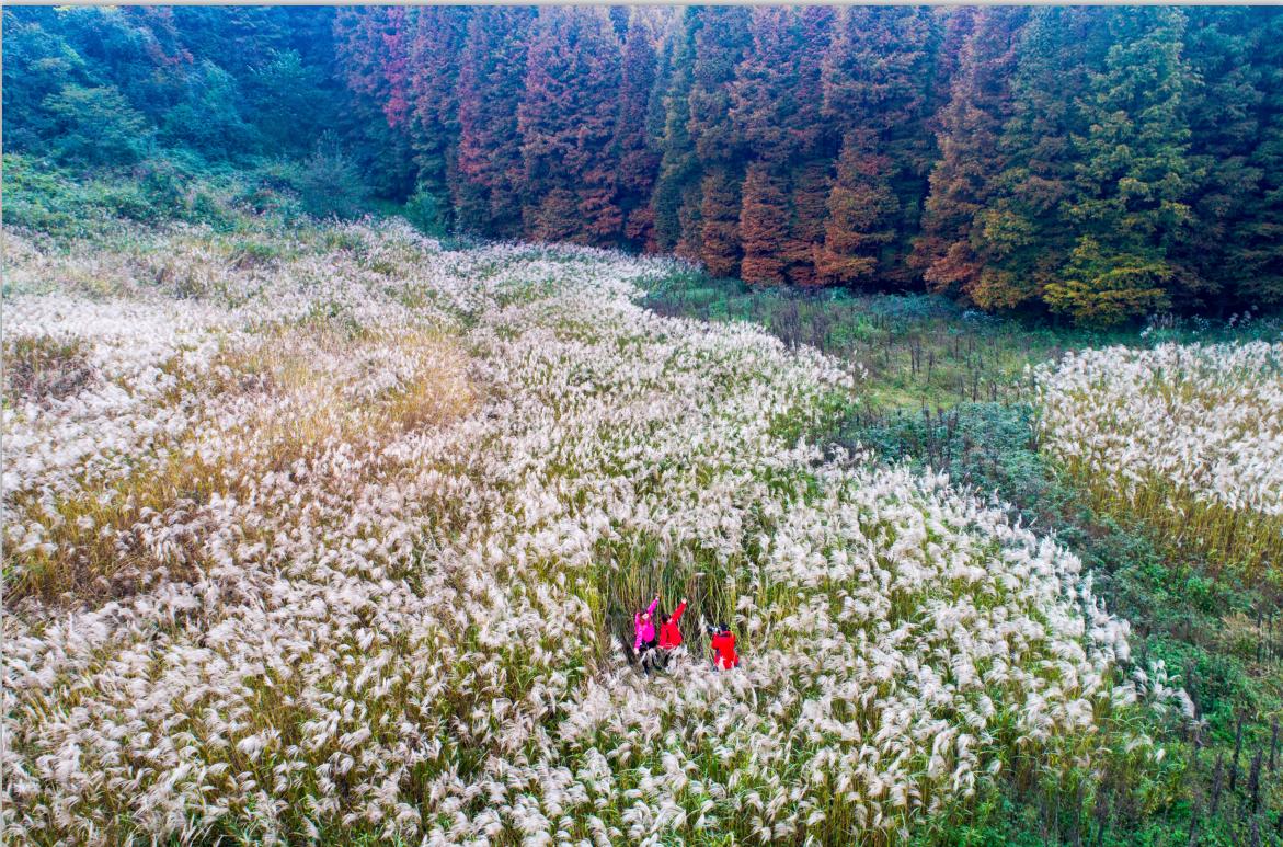 重庆之旅怎么样,重庆避暑5日游攻略从南川开始