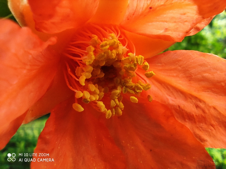 小米10青春版的缺点和优点,小米10青春版值得入手吗2020