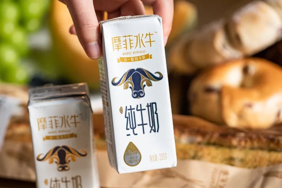 小众牛奶品牌,19年小众牛奶