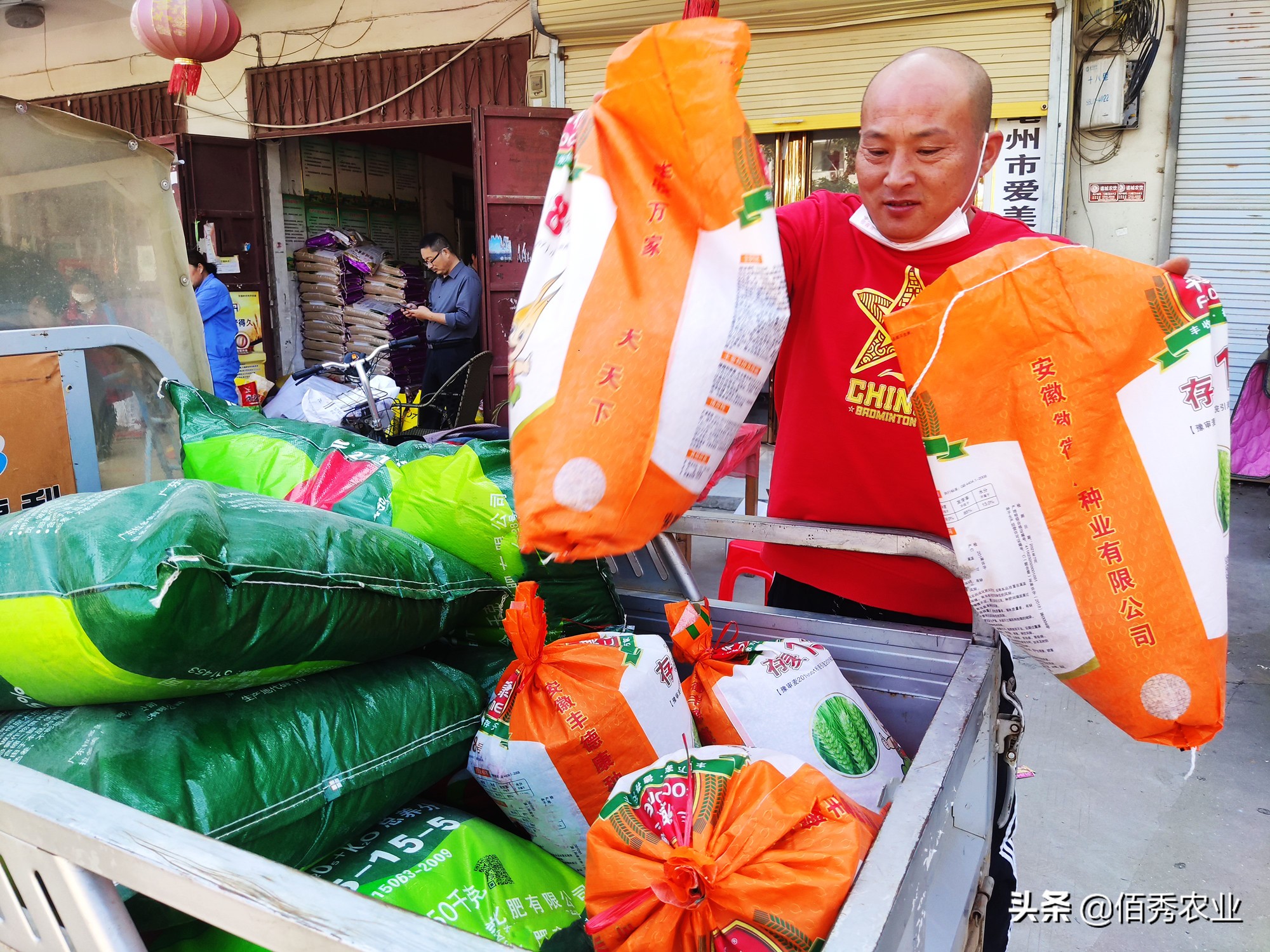 业内人透露小麦种子的“秘密”:改小包装提高价格,反受农民欢迎