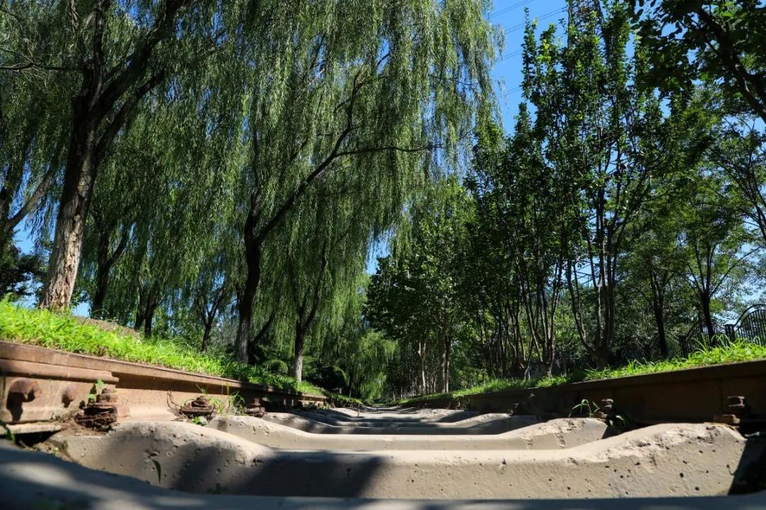 北京人少景美赏秋的公园,北京赏秋中山公园