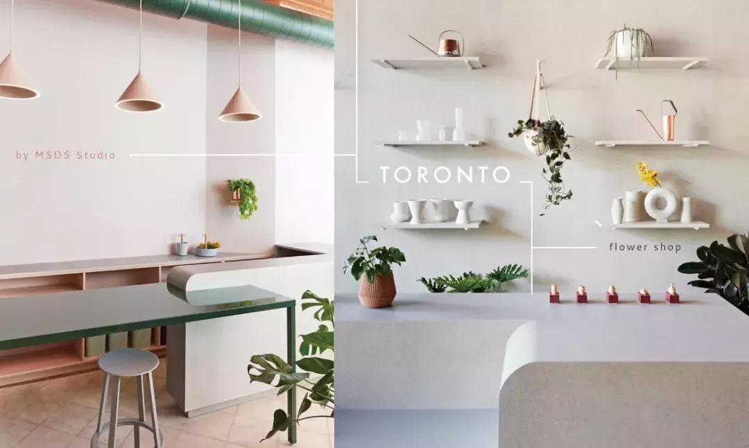 世界上超美的小花店,世界上的小花店