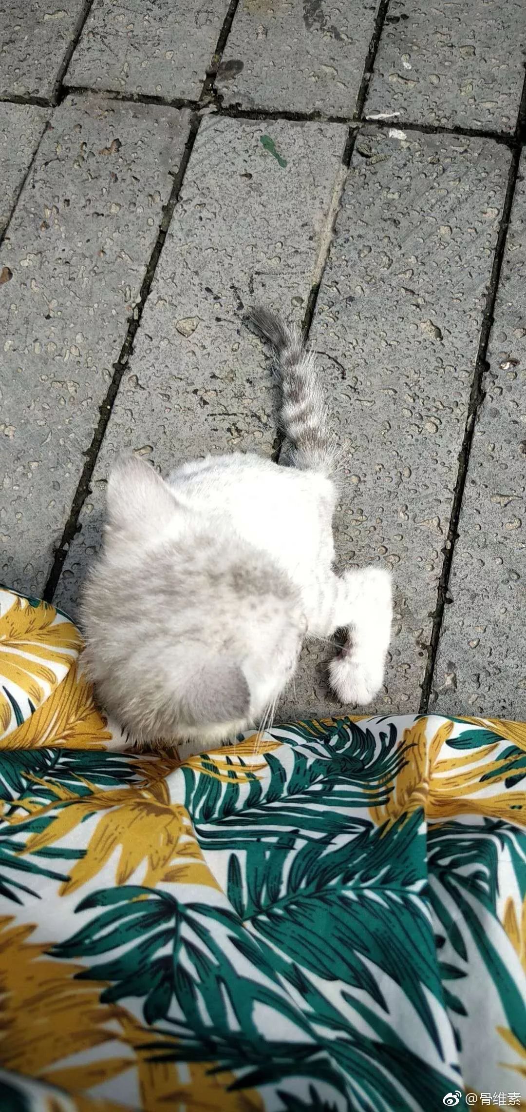 你见过最沙雕的评论,你见过最沙雕的物品吗