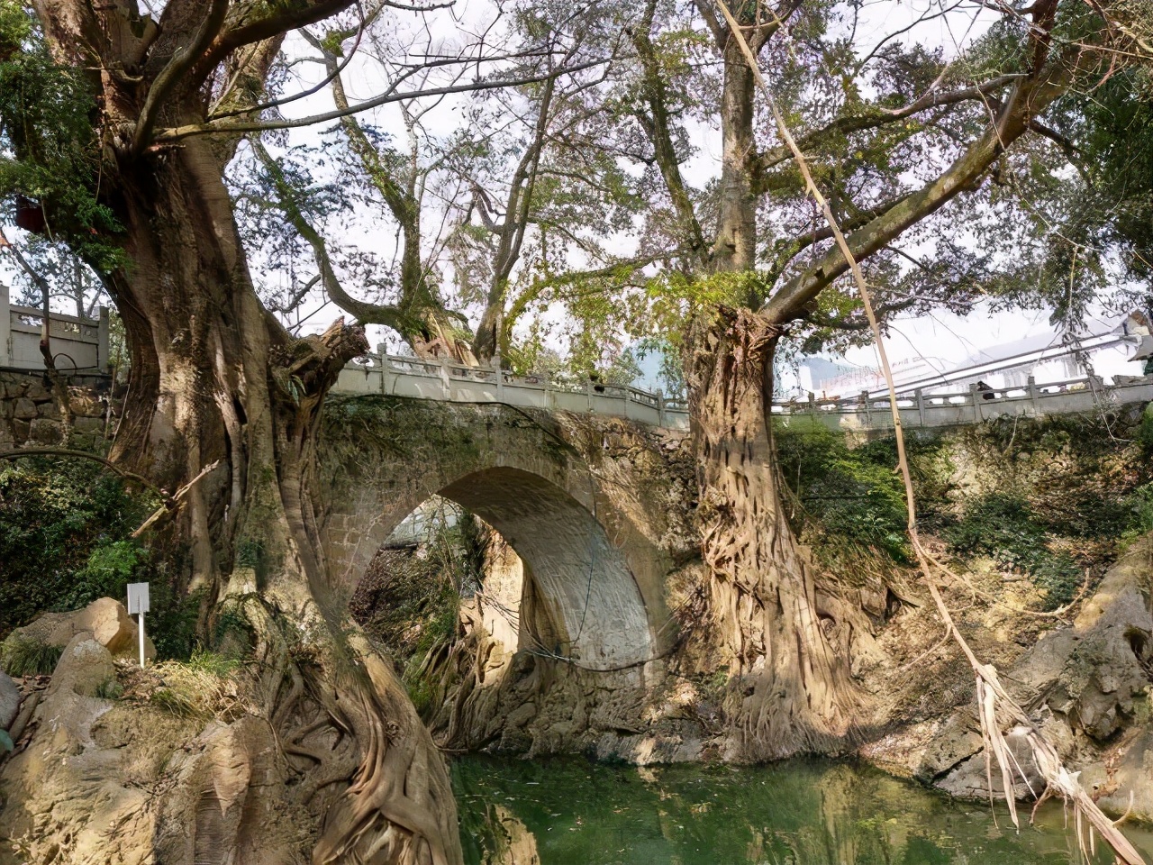 贵州兴义纳灰河生态长廊,兴义桃花源记