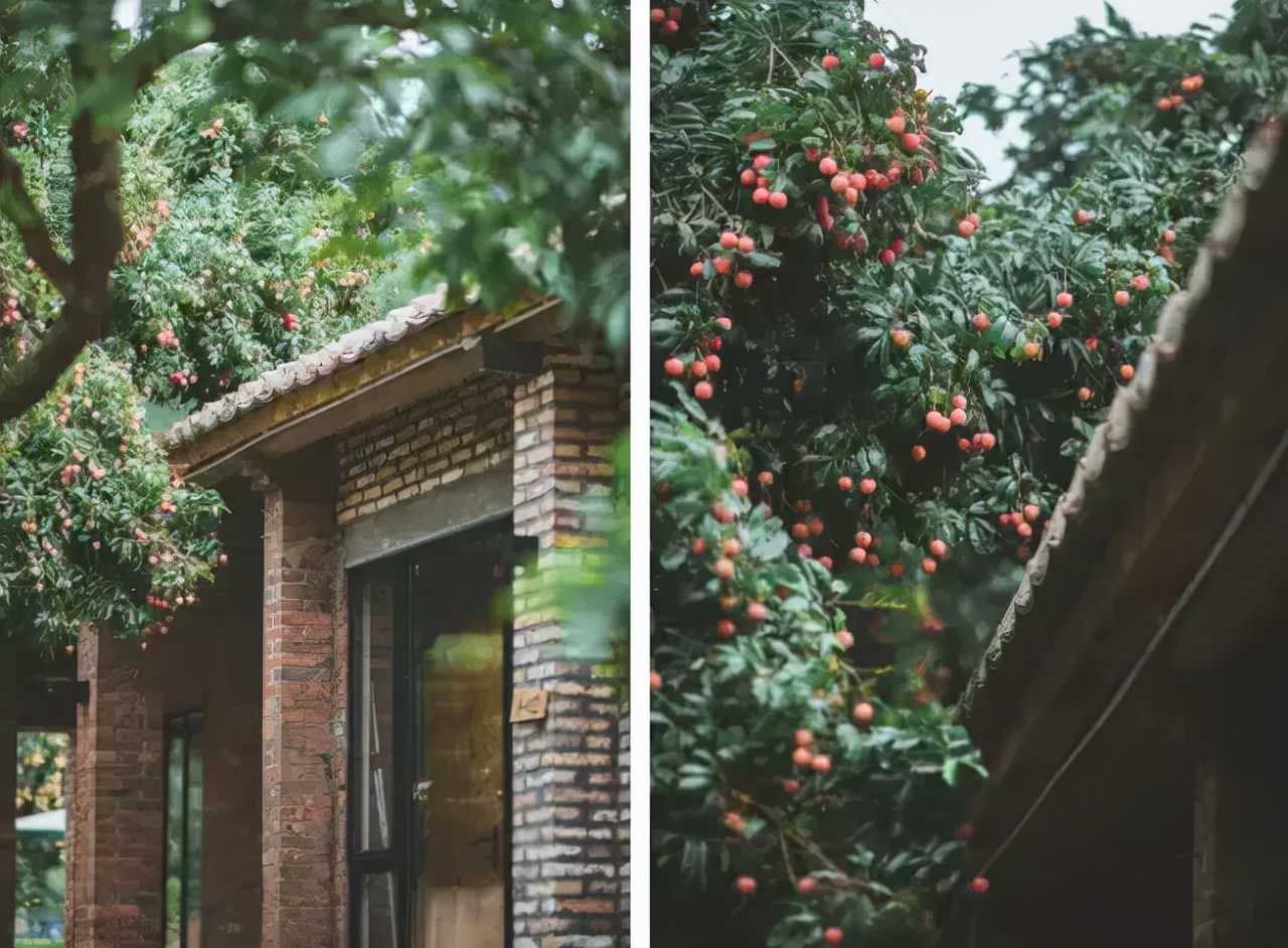 广州从化山野间隐奢桃源民宿,诗意野趣手作做个小木匠丨菁木山舍