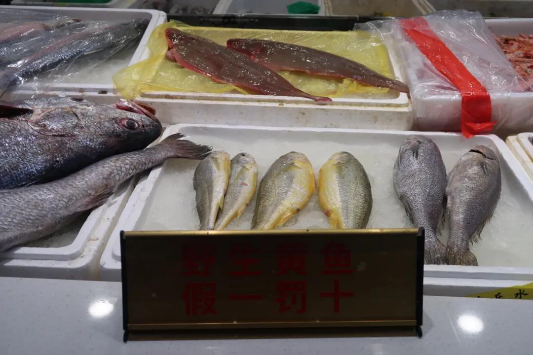 在这个足足2万平的奇妙海鲜“商场”，我找到了赚钱的动力