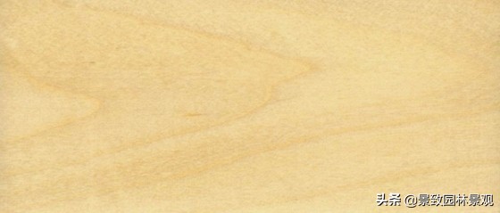 木纹最好看的木材图片,各种木材纹理图片与名称