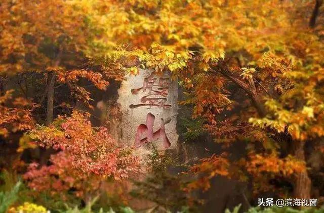 天津年味十足的地方,年味的天津夜景