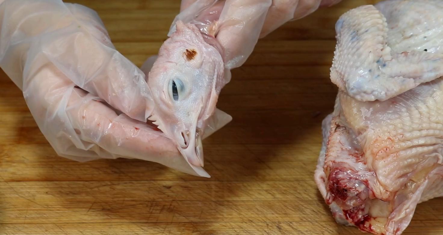 养鸡看外表听声音看粪便识鸡病,养鸡必须掌握鸡的十大生理习性