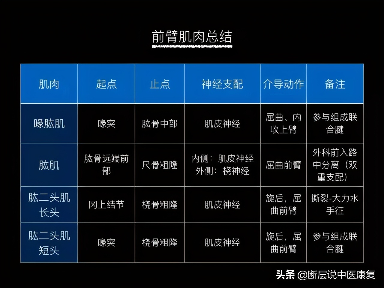 手臂人体解剖图讲解,手臂上举3d肌肉解剖讲解