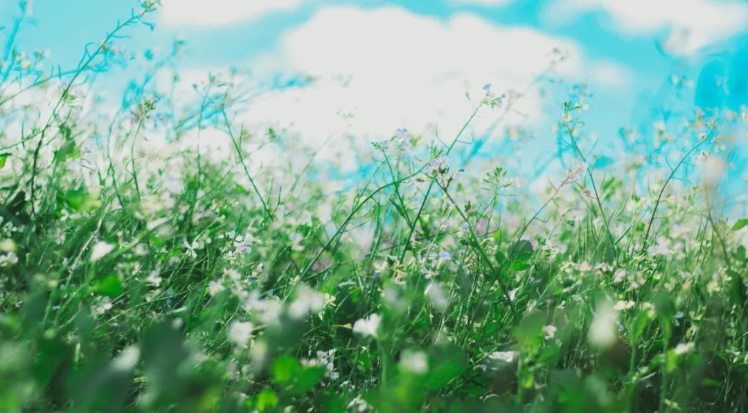 鏈堜寒鏄熷骇鎬庢牱搴斿璐熼潰鎯呯华,鏈堜寒鏄熷骇鎯呯华鐤楁剤