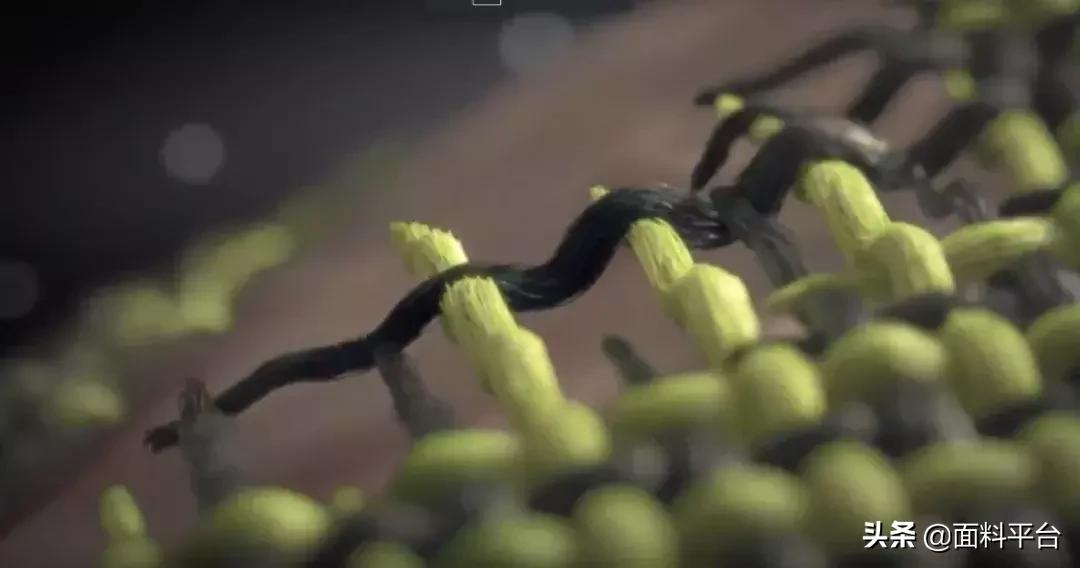 nike女款运动内衣加紧身裤,nike运动内衣女高强度防震