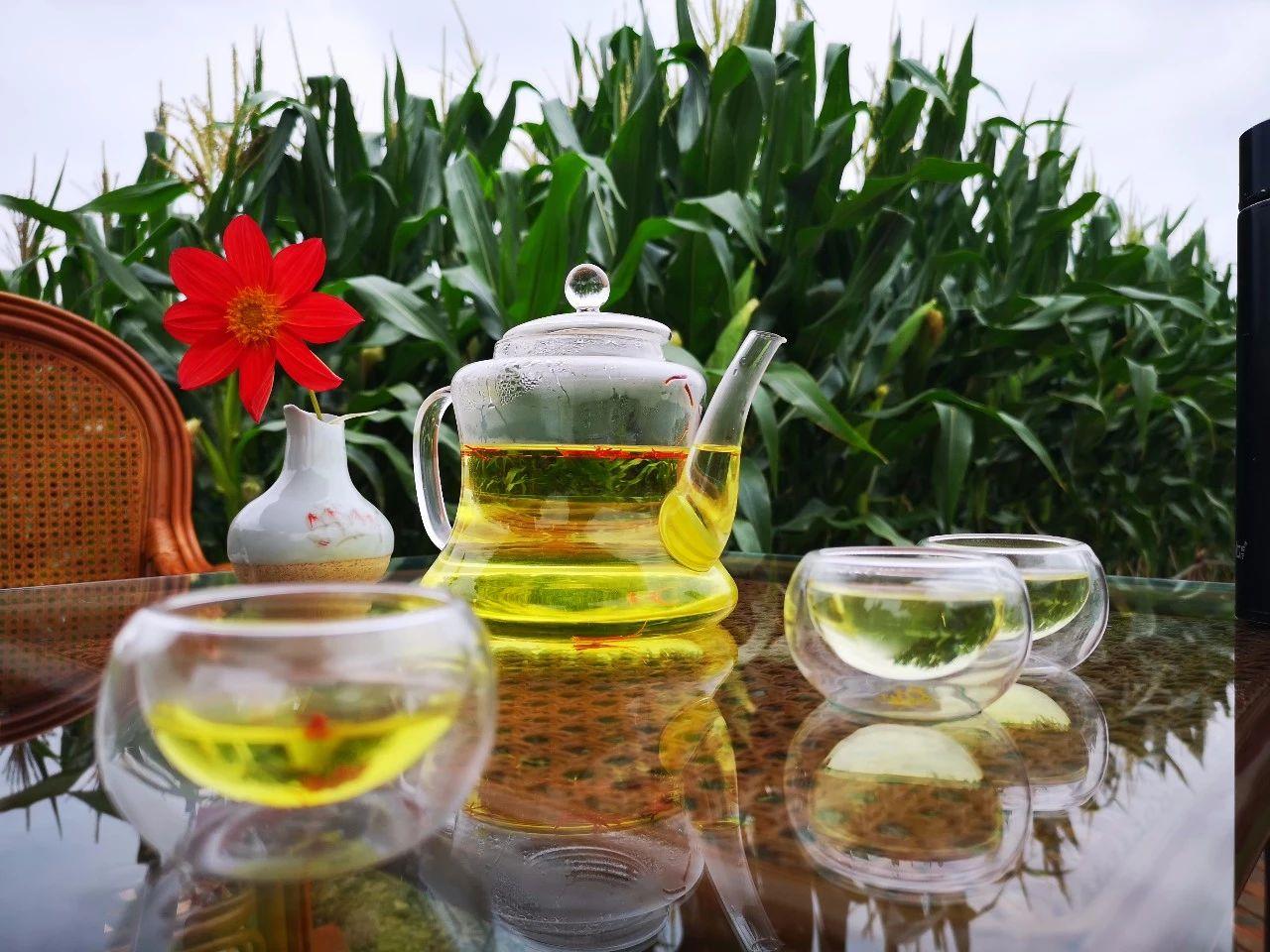 「民间偏方奇效方」高脂血症