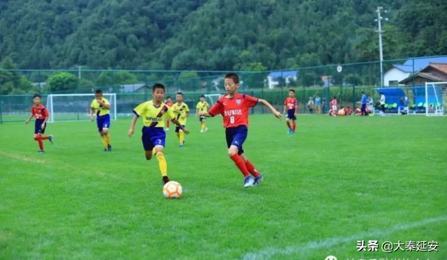 盛夏绿茵赛场挥汗如雨甘泉足球小将载誉归来