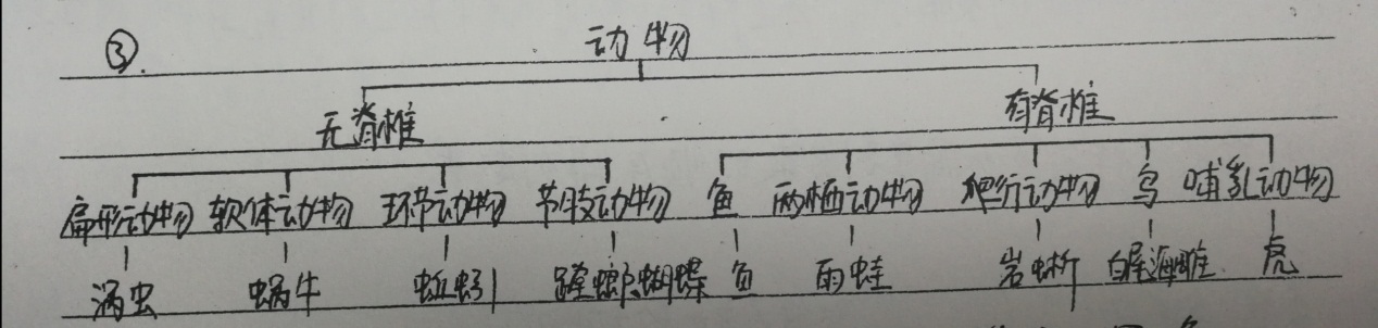 八上生物基础知识整理,八年级上册生物试卷期末2020-2021