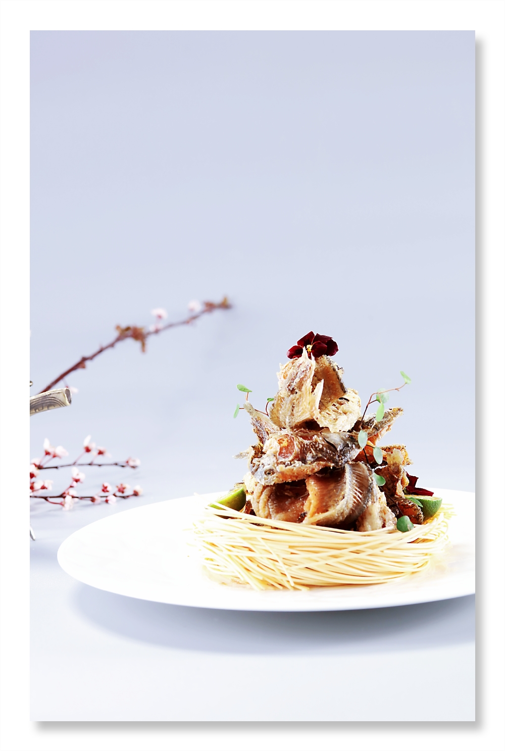 甲鱼大的营养好还是小的营养好,甲鱼越大越好吗