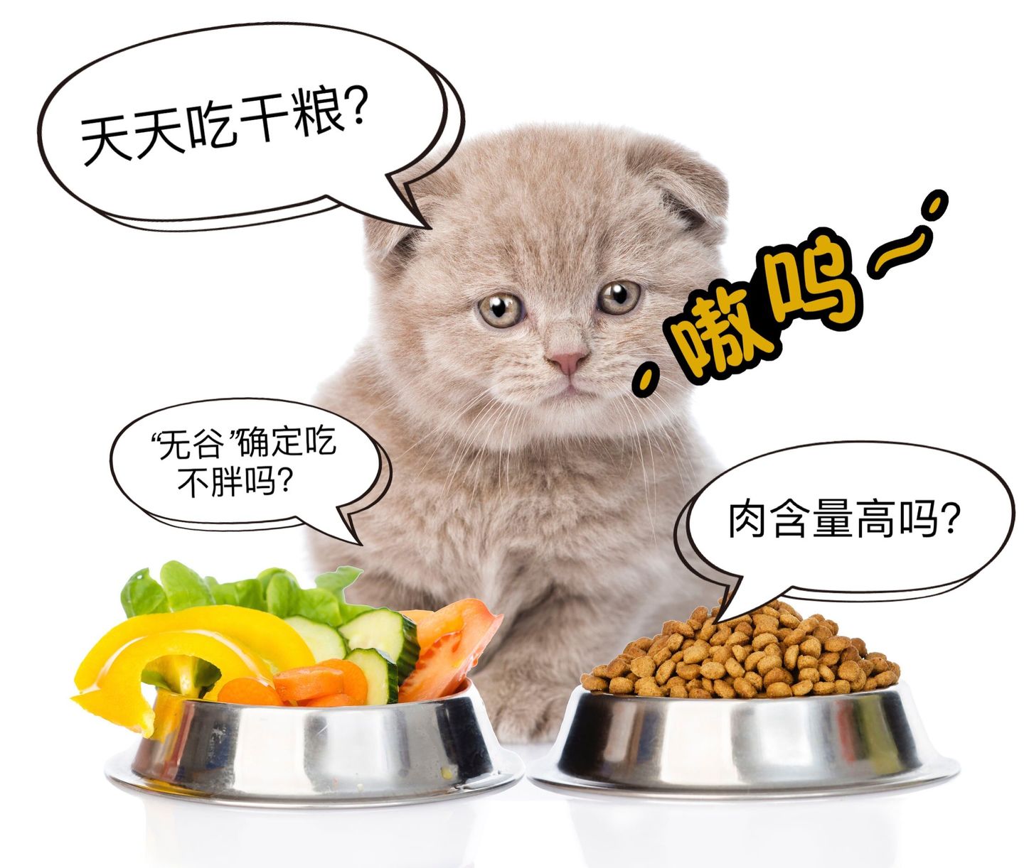 进口猫粮推荐红黄绿,猫粮进口怎么选择品牌