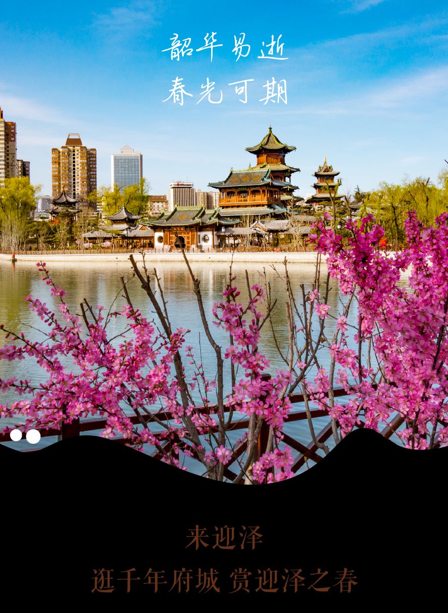 太原迎泽公园3月份看花,迎泽公园看花