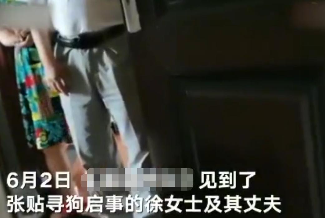 “寻狗赠房”系打印错误？北京寻狗赠房狗主人回应：因天黑没看就贴了，半夜接到三百个电话