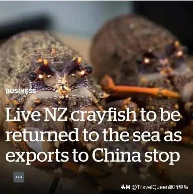 如果没有中国游客，世界该有多无聊