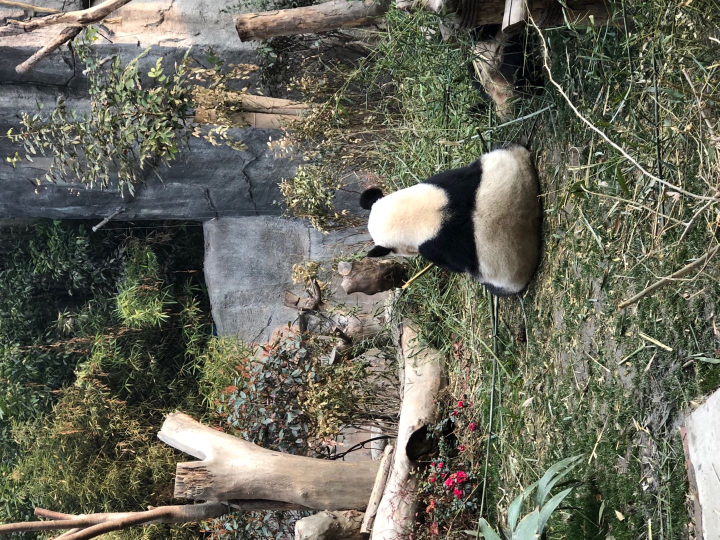自驾川藏南北线及滇藏线攻略,川藏南线沿途风景