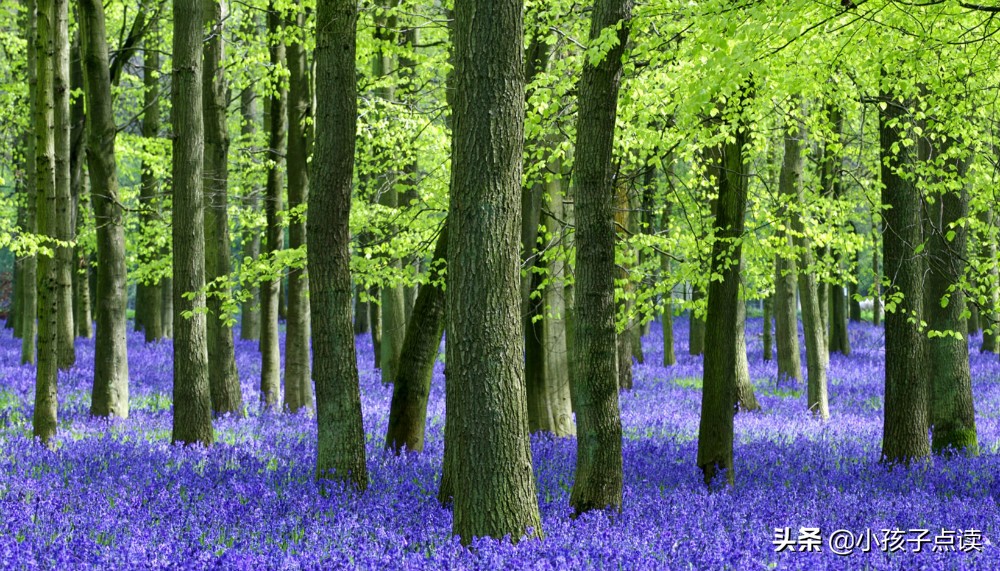 登新平楼唐李白拼音版,古诗登新平楼视频