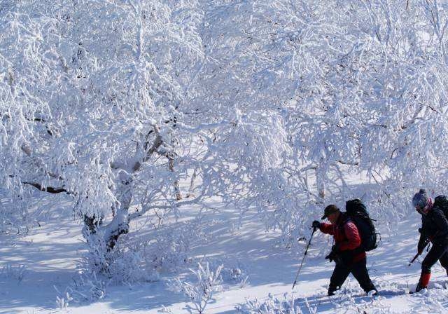 吉林雪谷雪乡,吉林雪乡风景区