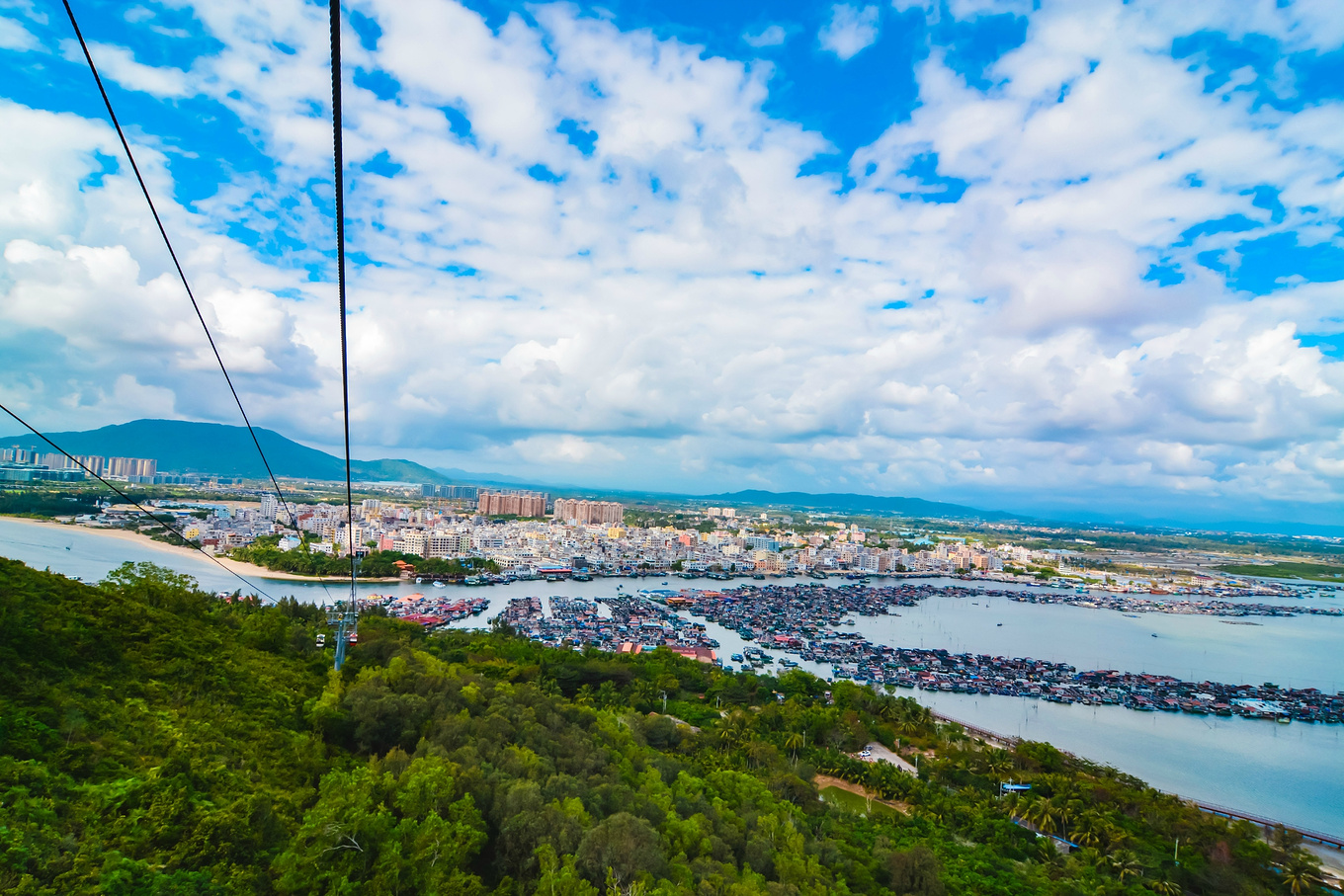 你在南方瑟瑟发抖，我在这里遛娃、看猴、赶海····