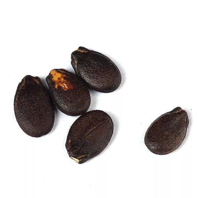 西瓜账号注册异常怎么解除,西瓜出现什么情况说明坏了